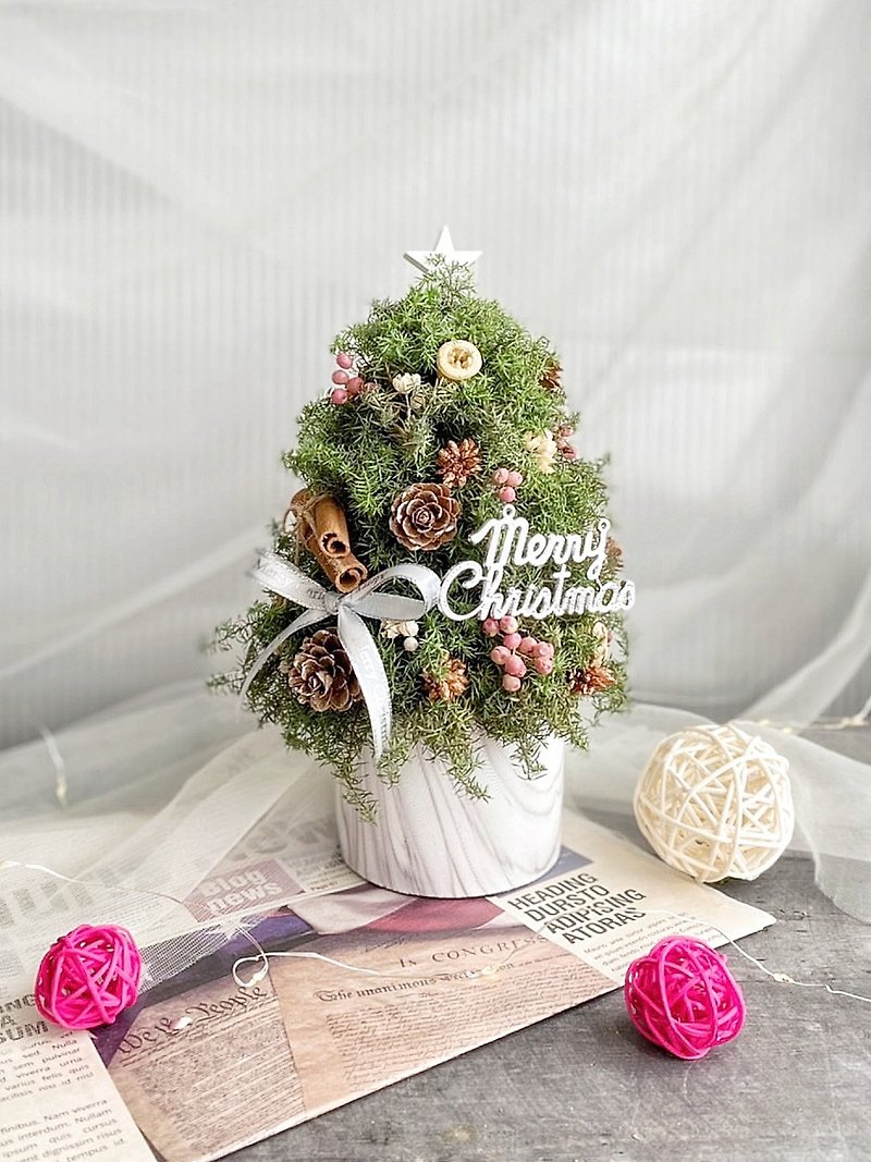 [Christmas gift box] Immortal cedar Christmas tree exchange gifts Christmas exchange gifts dried flowers - ช่อดอกไม้แห้ง - พืช/ดอกไม้ 