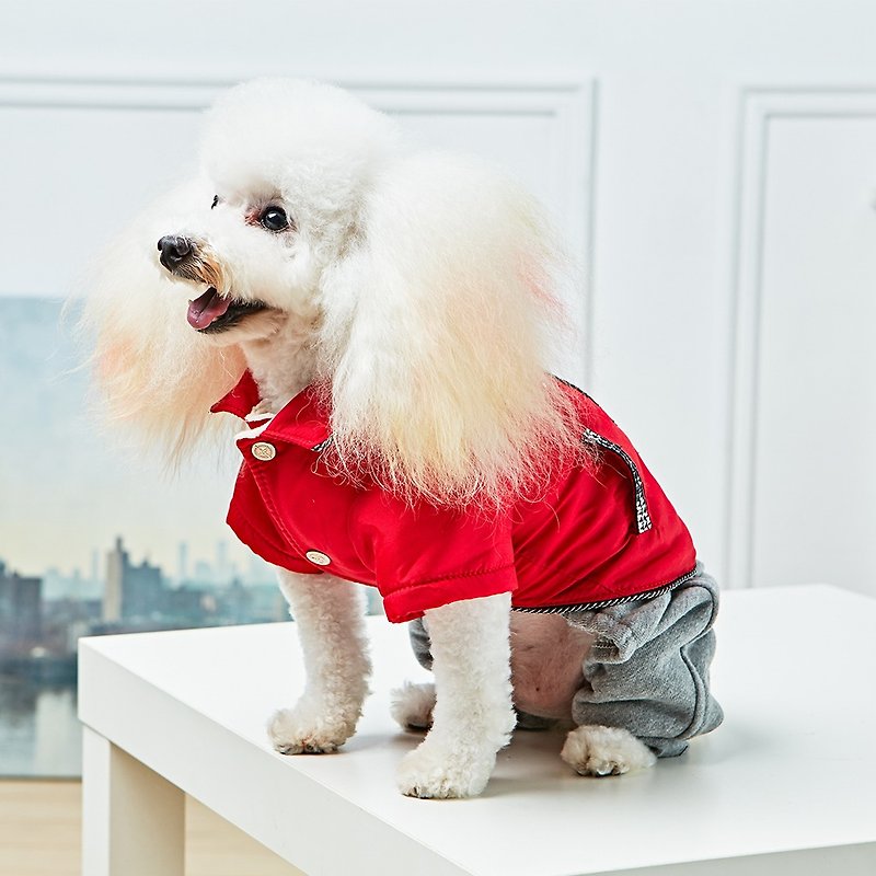Pet clothes shiny windproof jacket (red) - ชุดสัตว์เลี้ยง - ผ้าฝ้าย/ผ้าลินิน สีแดง