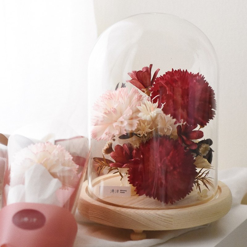 Mother's Day Carnation with Glass Cover - Dried Flowers & Bouquets - Plants & Flowers 