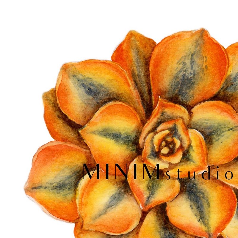 Succulent Watercolor Art Print. Orange Cactus Botany Wall Art Plant Decor. - Posters - Paper 