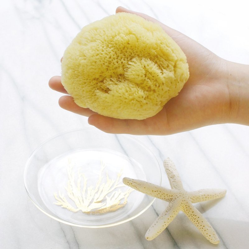 Natural Greek Sponge (M)【Facial Skin Care】 - Facial Massage & Cleansing Tools - Other Materials Yellow