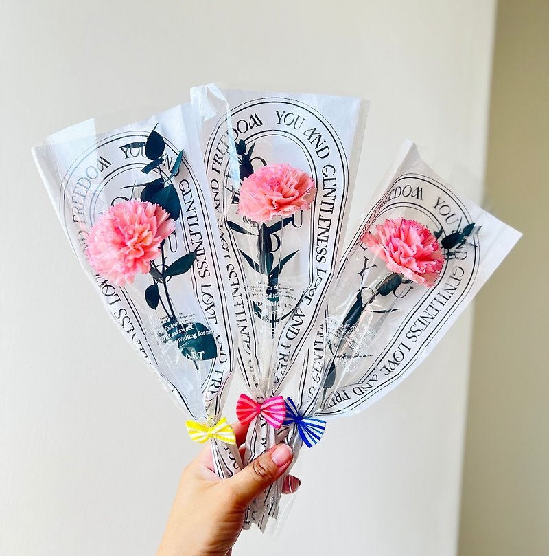 She deserves a Mother's Day gift: carnation diffuser bouquet single carnation preserved flower dried flower - Dried Flowers & Bouquets - Plants & Flowers 