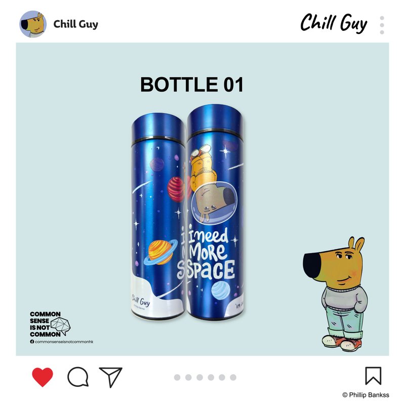 Chill Guy 保溫不繡鋼水樽 SS01 - 水壺/水瓶 - 其他金屬 