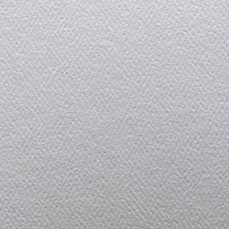 Royal Sundance A4 Paper 216gsm (Ultra White - Felt) - 其他 - 紙 