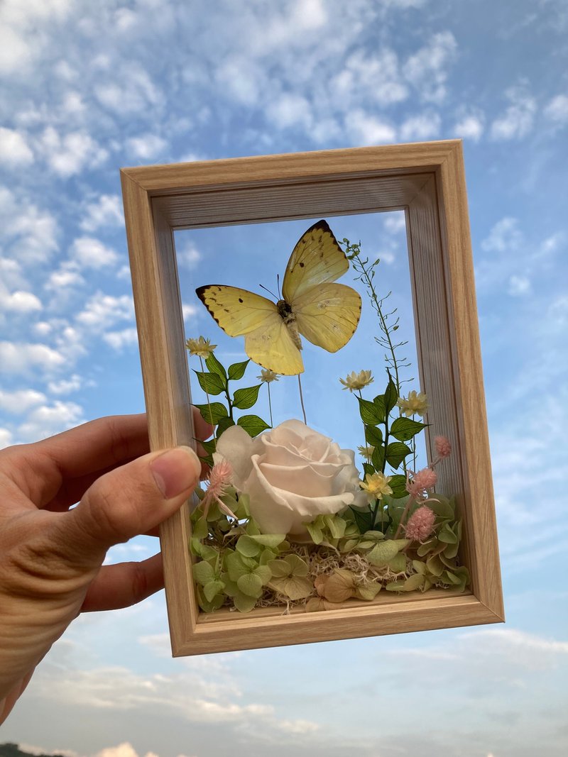 Capture the Sky Series/Light Yellow Butterfly/Specimen Photo Frame/Eternal Flowers/Father’s Day/Chinese Valentine’s Day - ช่อดอกไม้แห้ง - พืช/ดอกไม้ สีเขียว