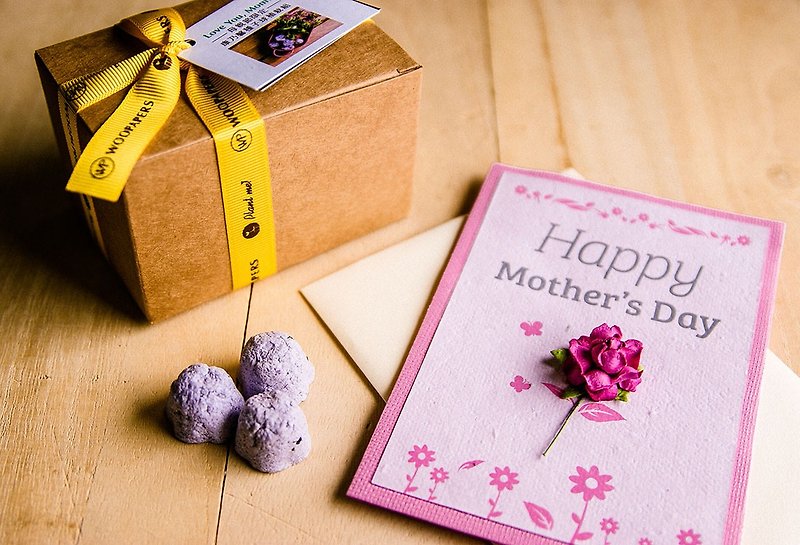 Mother's Day Cards & Carnation seed planting seed ball gift set - Plants - Plants & Flowers Pink