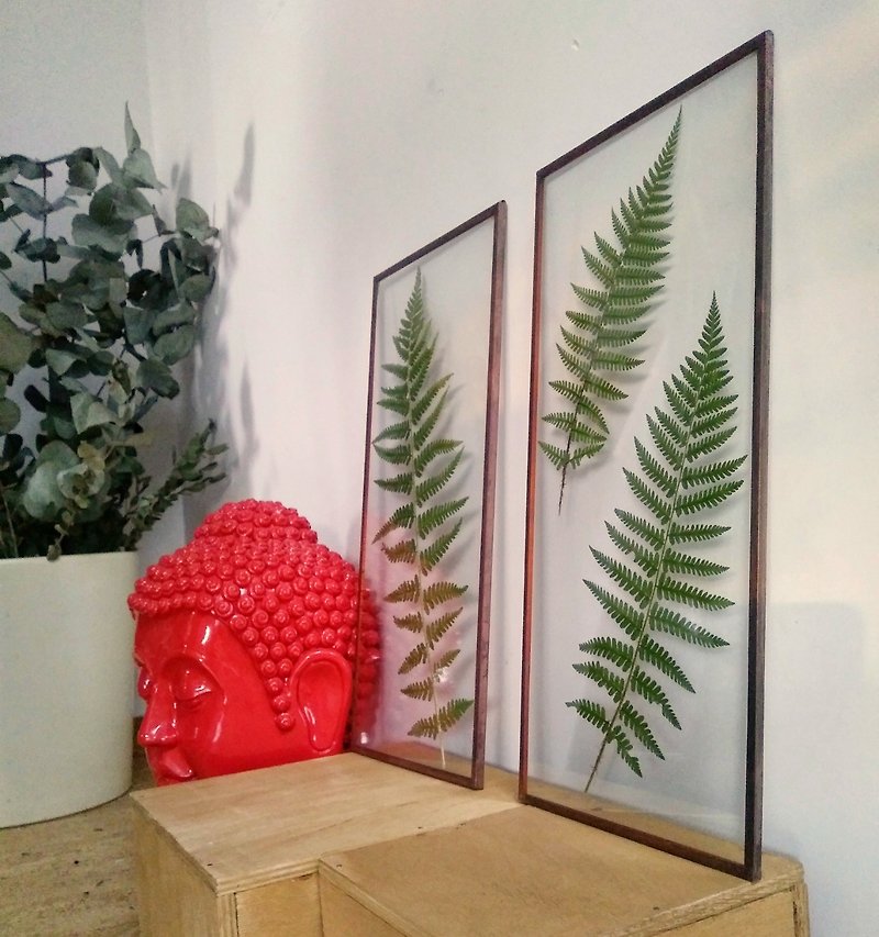 觀葉植物 蕨葉 植物标本室 玻璃框 玻璃工藝 植物禮物創意 樹葉 - 壁貼/牆壁裝飾 - 玻璃 綠色