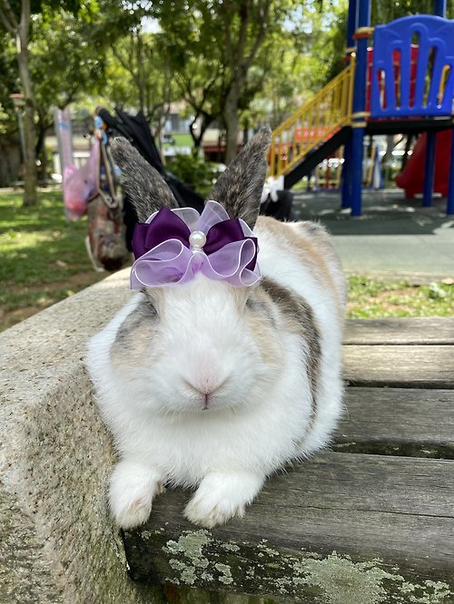 Avondream 手創小舖 Q1-手工寵物生日帽子寵物髮飾頭套兔兔牽繩衣配件兔子花圈