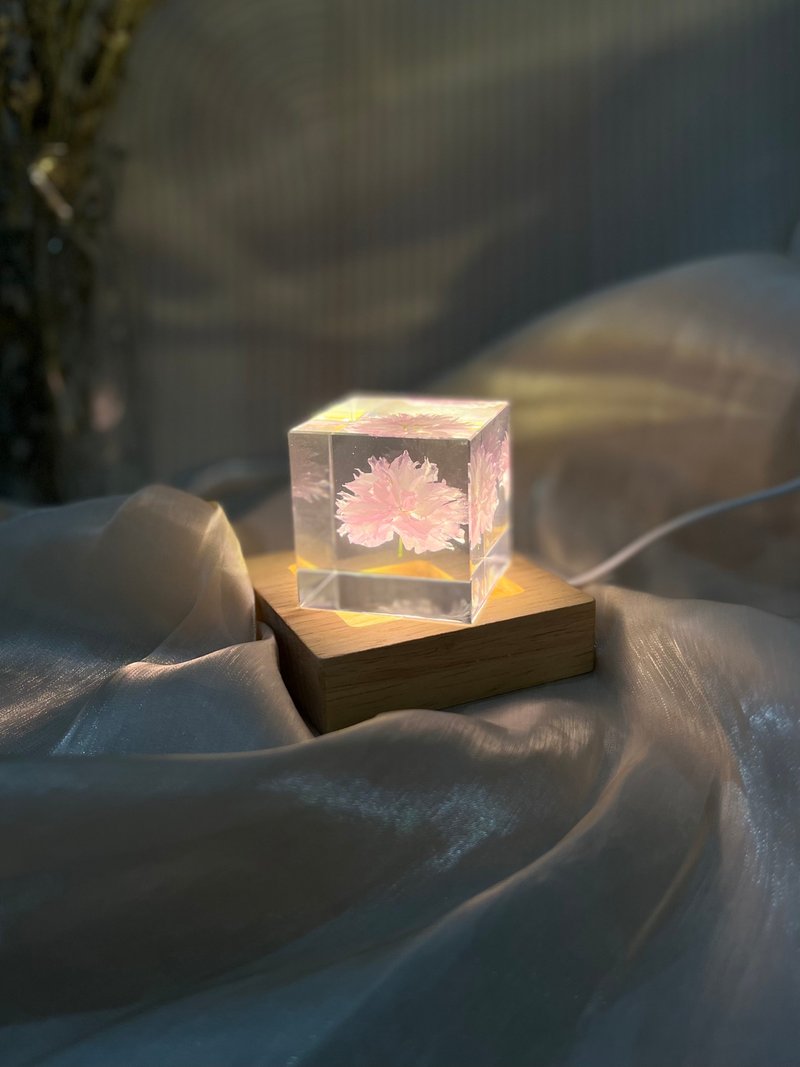 關山櫻/重瓣櫻花Sakura 標本/稀有真花精選禮品 - 擺飾/家飾品 - 樹脂 粉紅色