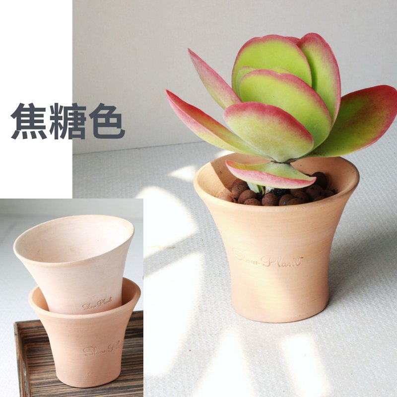 植栽 盆栽 l Slow Plant素燒陶盆 低腰曲線時尚盆 兩色挑選 - 花瓶/花器 - 陶 