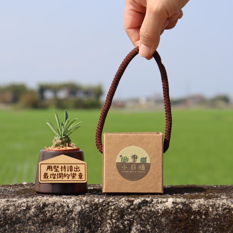 Hill Wooden Basin - Succulent Potted Plant Character Plaque Customized for Children's Wedding, Birthday, Christmas Graduation Gift with Paper Box - ตกแต่งต้นไม้ - ไม้ สีเขียว