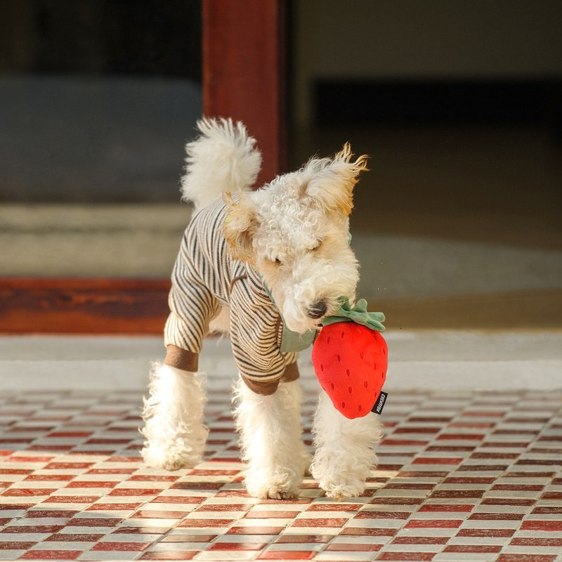 【狗玩具】 CHEWFFON 甜心草莓 - 貓/狗玩具 - 其他材質 