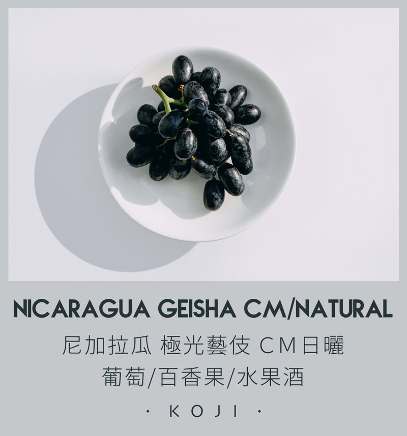 尼加拉瓜 淺烘焙 極光藝伎 二氧化碳浸漬日曬  咖啡豆 掛耳包 - 咖啡/咖啡豆 - 新鮮食材 白色