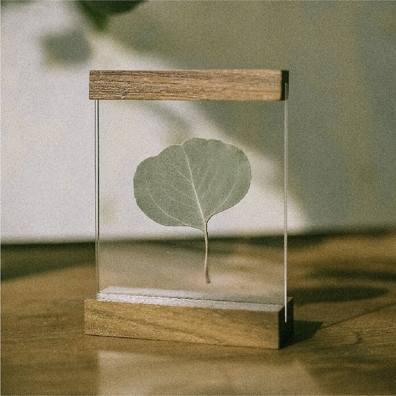 WOODEN BAR DEKSTOP 4x4 inch tabletop wooden photo frame - 畫框/相架  - 木頭 咖啡色