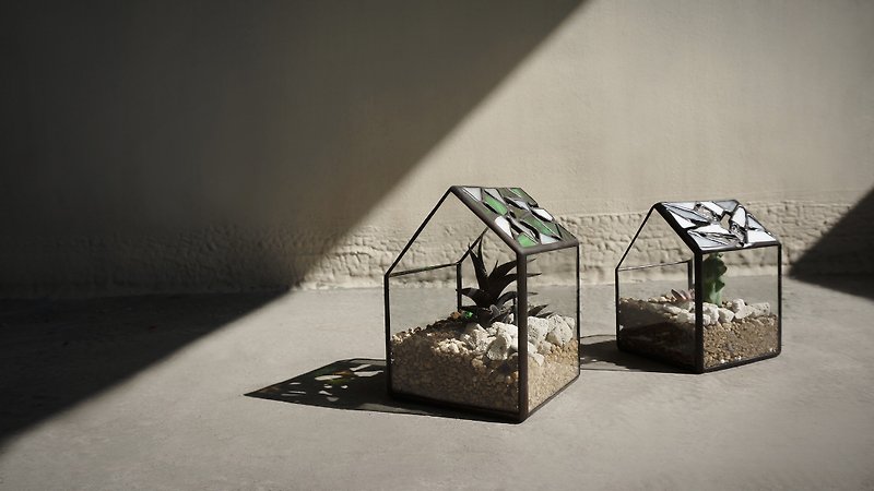 ライトルーム - 多肉植物のガラス象嵌を施したスクエアスタイルのフラワールーム - 観葉植物 - ガラス グリーン