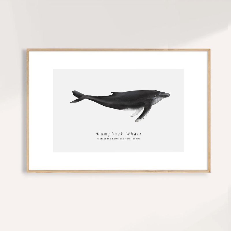 座頭鯨 Humpback Whale / 海洋動物插畫掛畫 / 藝術無框輸出 - 海報/掛畫/掛布 - 紙 