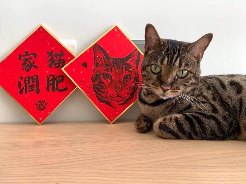 Customized Pet Spring Festival Couplets | Medium Card Hard Spring | Unique Cute Pet Blessings - Custom Pillows & Accessories - Paper Red