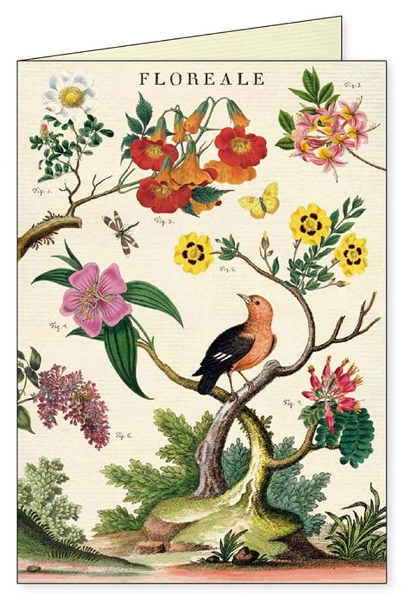 Cavallini & Co. GREETING CARD 花卉卡片組_四張一組 - 卡片/明信片 - 紙 多色