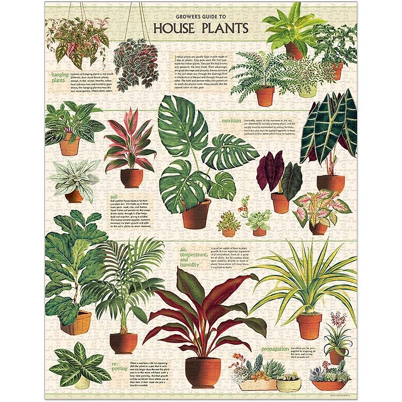 Cavallini & Co. Round Jar 1000 Piece Puzzle_Indoor Plants - Puzzles - Paper Multicolor