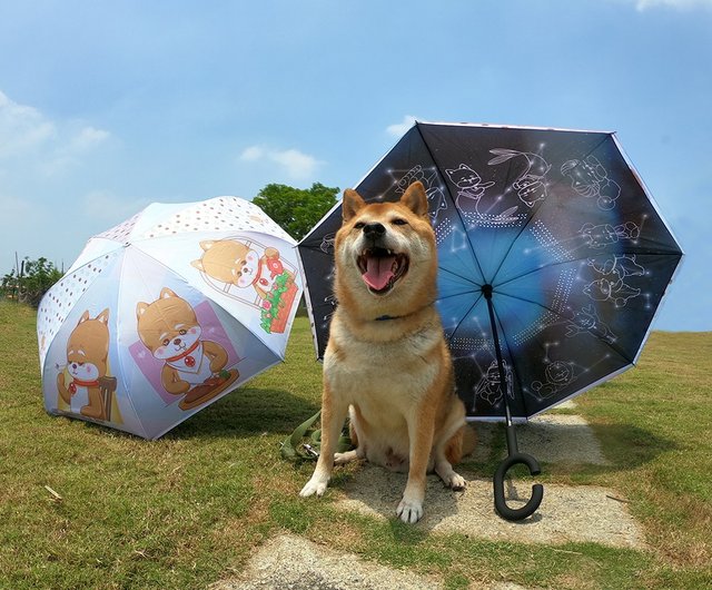 柴犬大学-柴犬両面逆傘自動折りたたみ傘サニーレイン傘