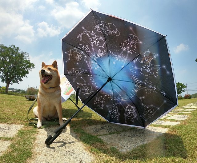 柴犬大学-柴犬両面逆傘自動折りたたみ傘サニーレイン傘