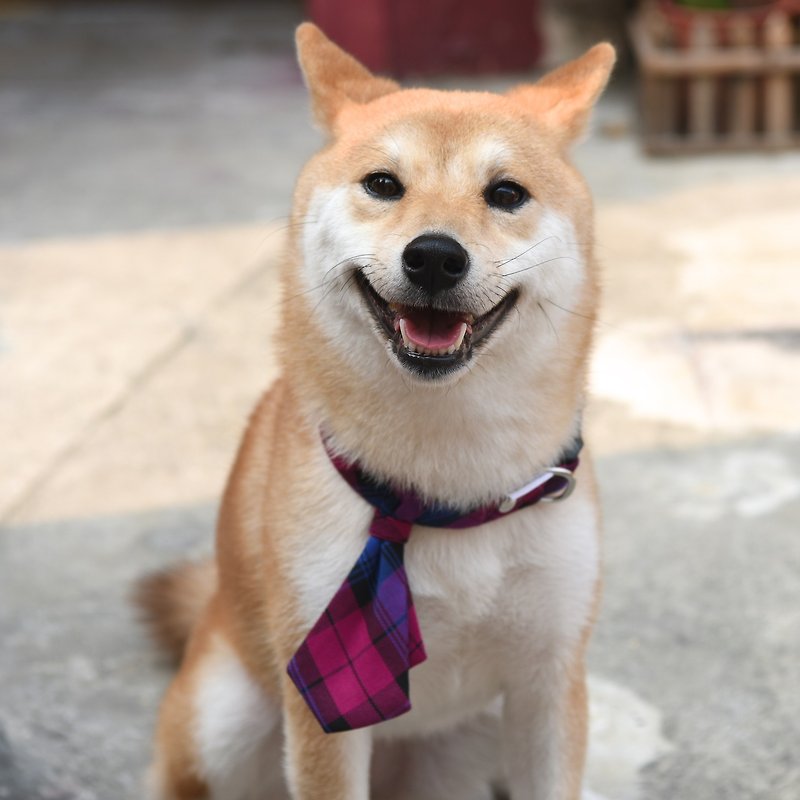 [ZAZAZOO] M code dog collar accessories - elegant purple - without collar - ปลอกคอ - เส้นใยสังเคราะห์ 