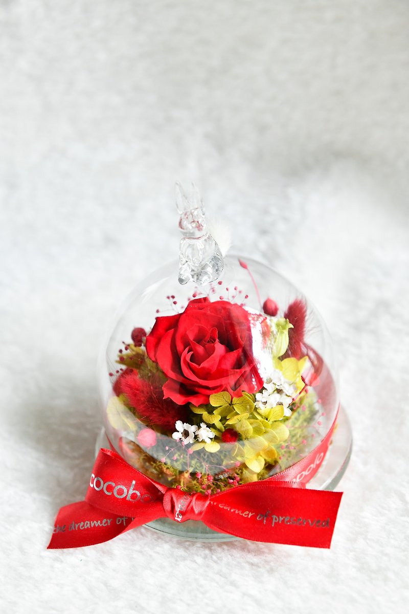Snow Bunny Round Star Flower Gift-Classic Red Rose - ช่อดอกไม้แห้ง - พืช/ดอกไม้ 