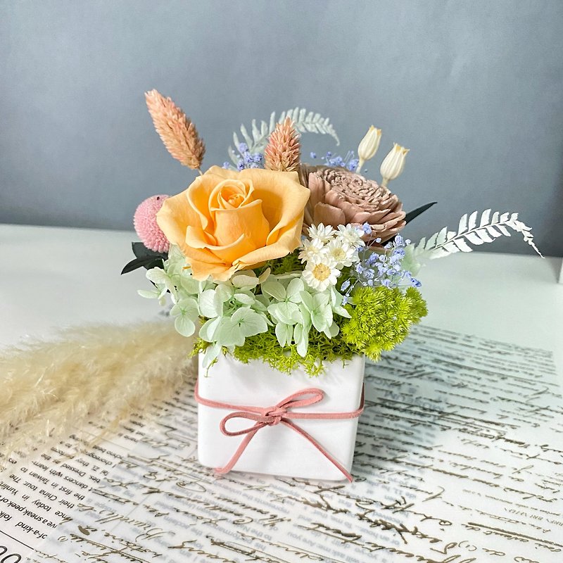 Everlasting potted flowers/dry potted flowers, everlasting roses, scented flowers, opening ceremony, housewarming - Dried Flowers & Bouquets - Plants & Flowers Orange