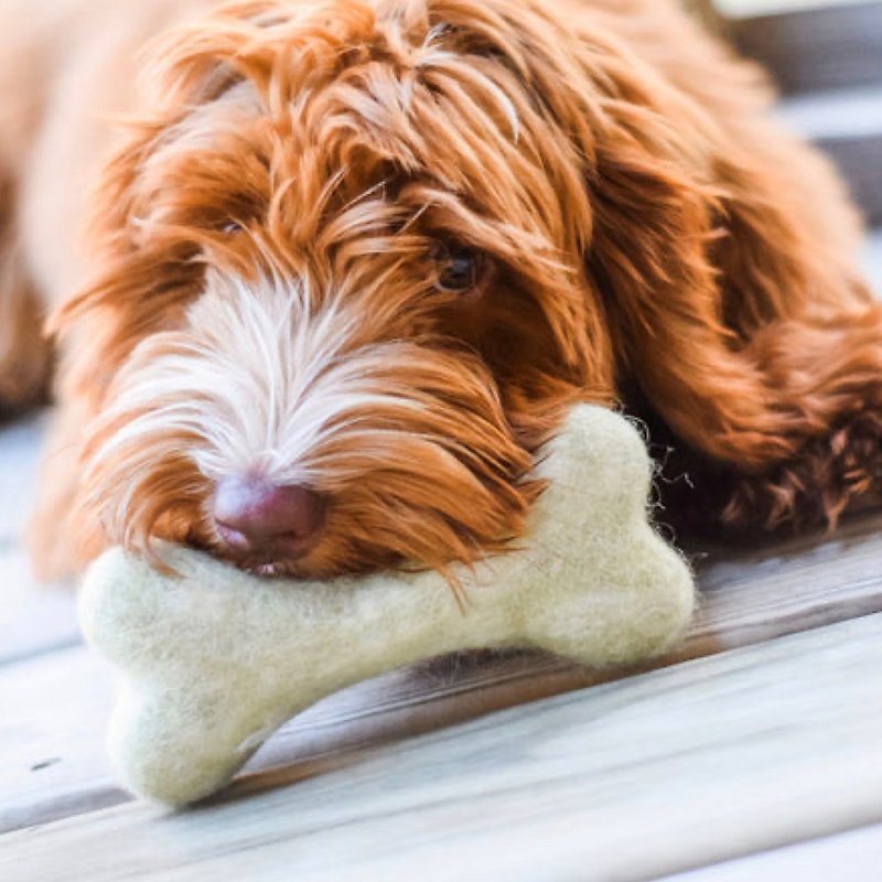 AWOO ボーンウールフェルト犬用おもちゃ インタラクティブエンリッチメント 歯が生えるおもちゃ - おもちゃ - ウール 
