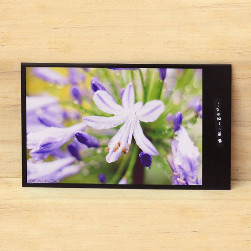 Handmade Limited Postcards - Purple Flowers/Taiwan Small Object Photography - Cards & Postcards - Paper Multicolor