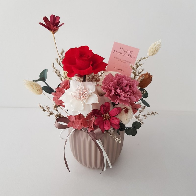 母親節 永生花+乾燥花|紅絲絨莓果|永生盆花 禮物∣康乃馨盆花 - 乾燥花/永生花 - 植物．花 紅色