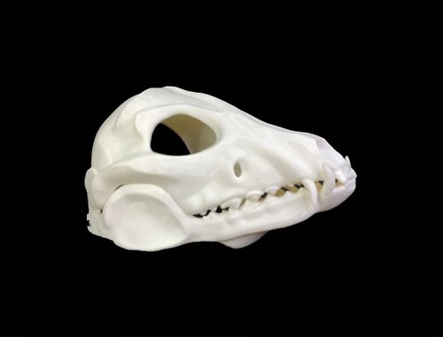 Elf Shop Skull Dog
