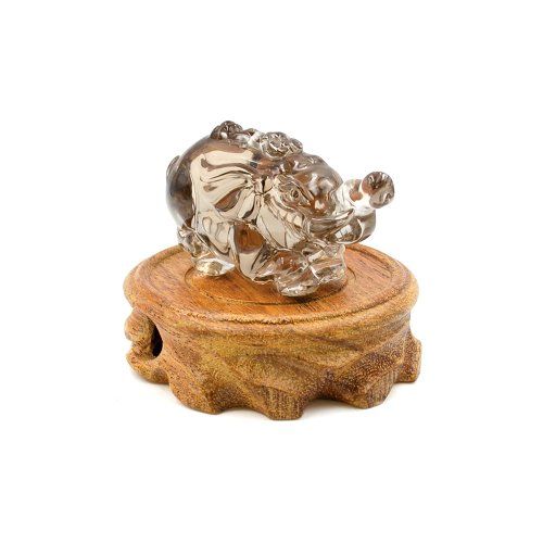 象（イエロー） The END x adidas ZX8000 Future Releases February 2024