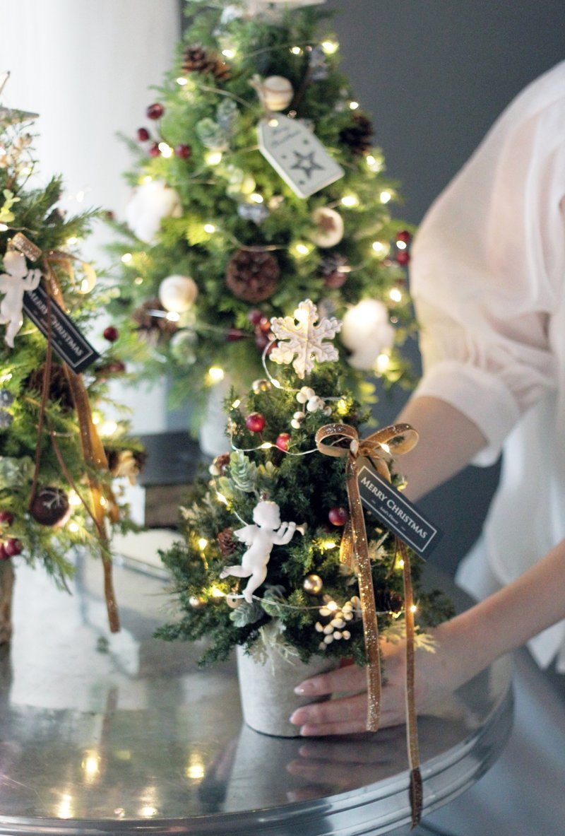 聖誕節花禮【 不凋雪松 】Preserved Flowers 珍藏版聖誕樹 - 盆栽/植栽 - 植物．花 多色