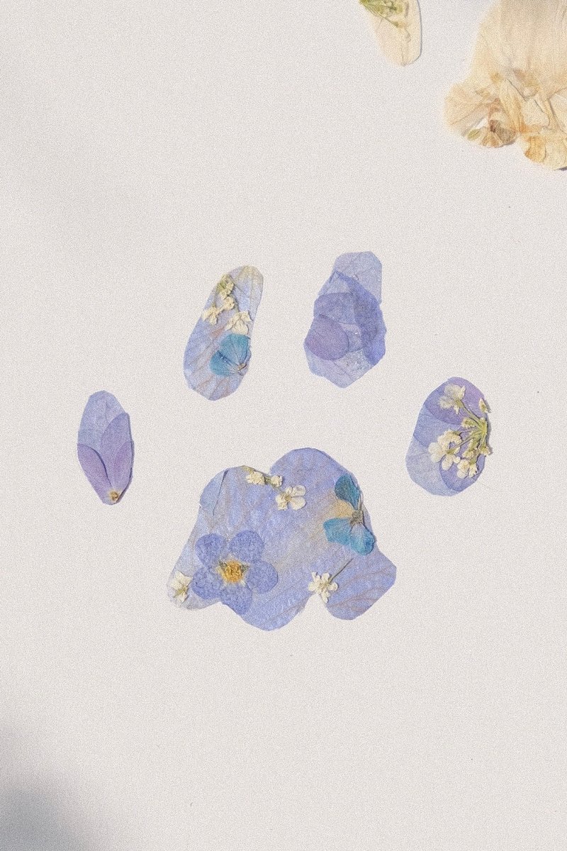 Pet X Footprints / 寵物紀念 足跡 足印 押花藝術 壓花 客製化 - 客製化寵物商品 - 植物．花 多色