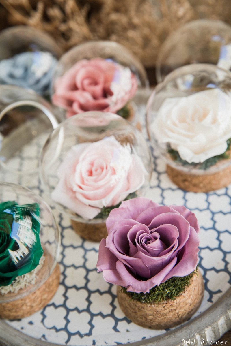 Preserved flower glass ball/glass flower ball/preserved flower cup/everlasting flower cup/preserved flower gift/graduation gift/flower - ช่อดอกไม้แห้ง - พืช/ดอกไม้ สีม่วง