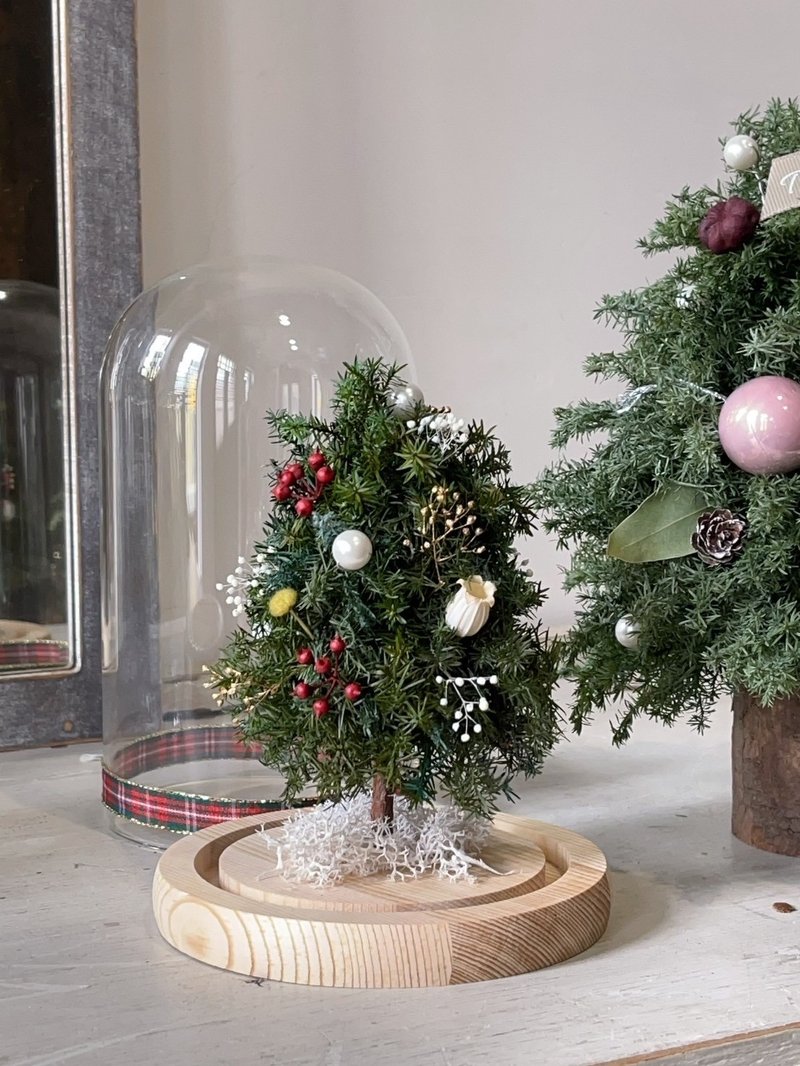 Glass cover immortal Christmas tree/Christmas tree - Items for Display - Other Materials 