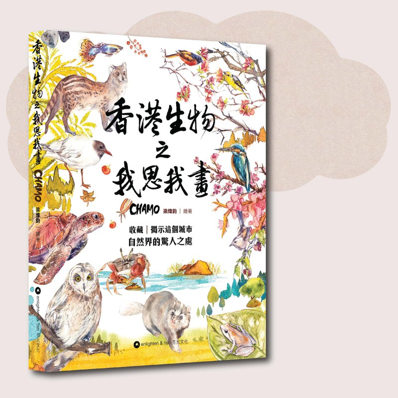 CHAMO_Hong Kong Bio-I Think I Paint_Taiwan Exclusive - หนังสือซีน - กระดาษ หลากหลายสี