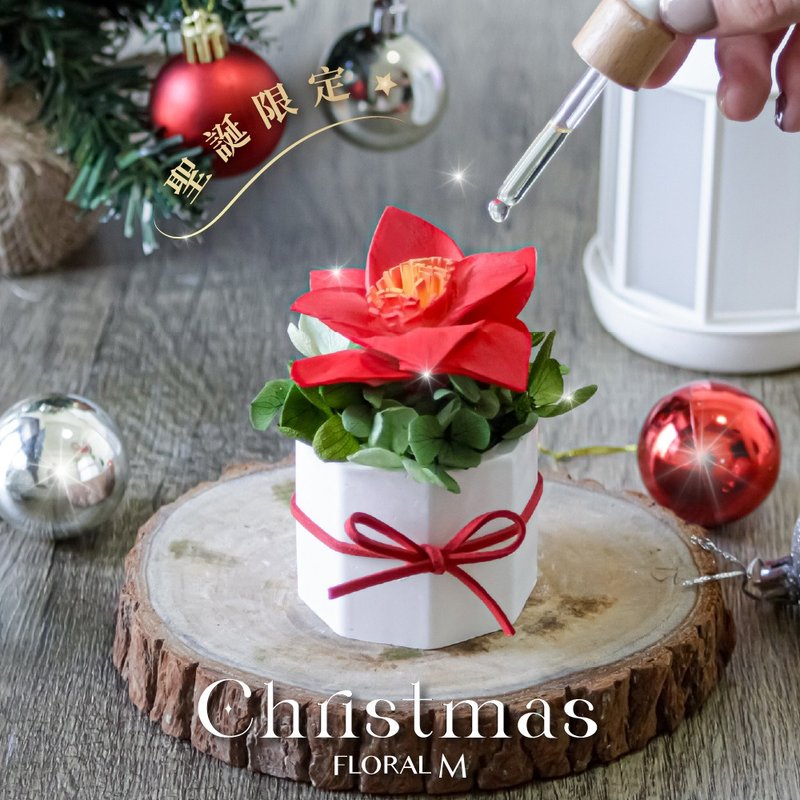 Happy Christmas經典聖誕紅擴香 (贈送5ml香氛油) - 擺飾/家飾品 - 植物．花 多色
