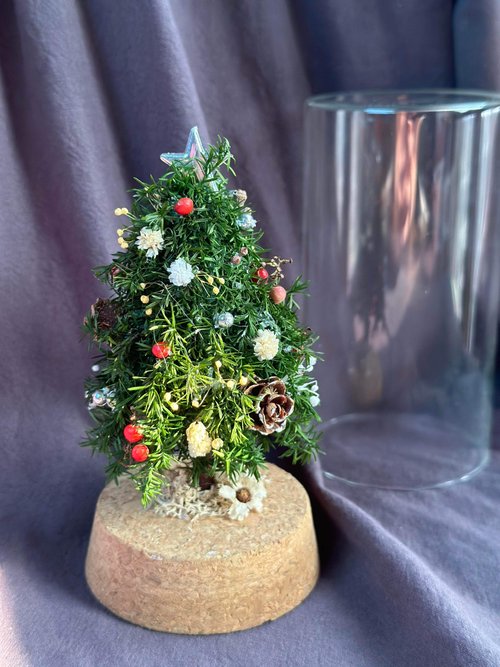 Aurora nunarait Flower design 奧蘿拉花藝 【永生雪松聖誕樹】永生雪松/聖誕節/玻璃花/交換禮物