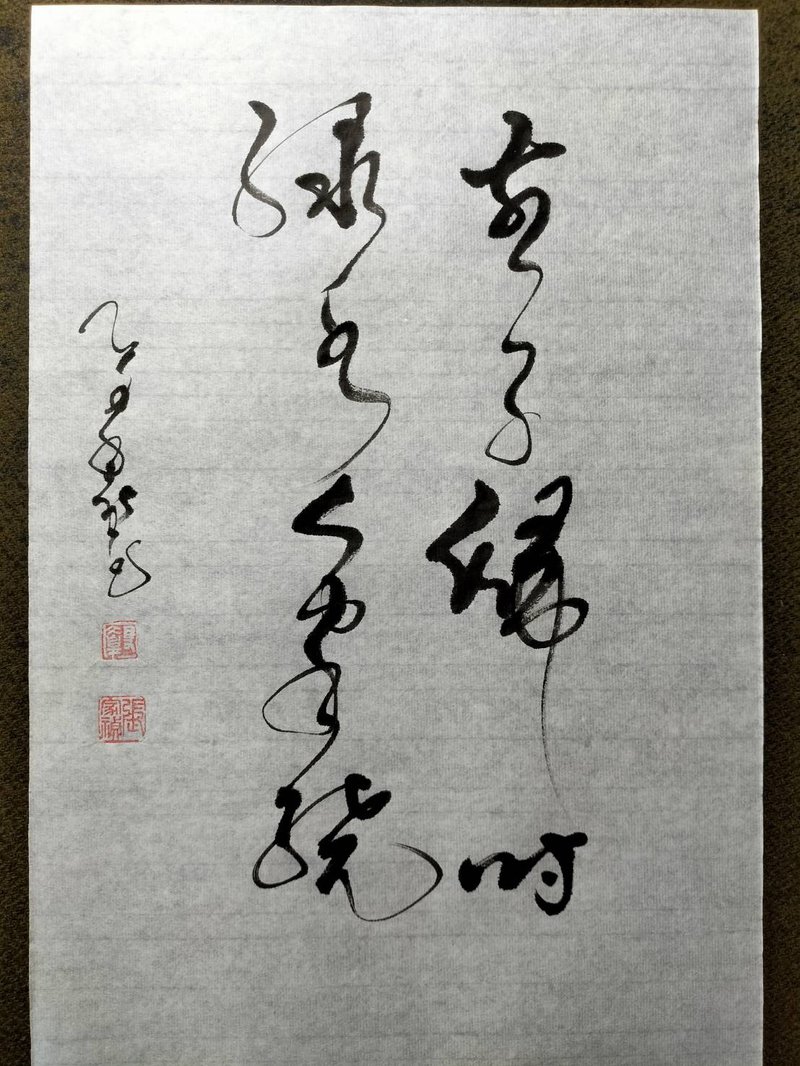燕子歸時綠水人家繞。 草書 未裱 - 海報/掛畫/掛布 - 紙 