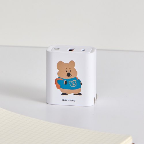TOYSELECT DINOTAENG校園-Fatty學習日USB3.0+PD20W雙孔充電器