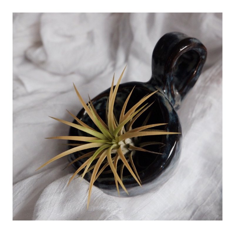 濃藍色空氣草吊籃 - 盆栽/植栽 - 陶 多色