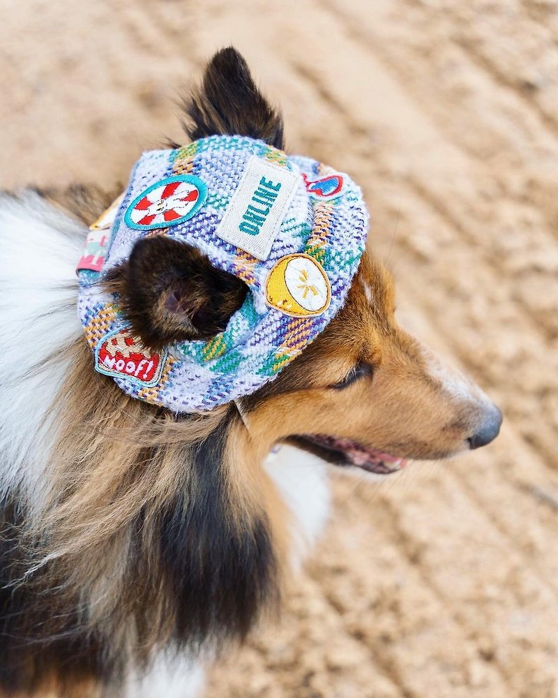 羊毛 寵物衣服 多色 - Matching BLANKIE HATs for Pet and Human (Beanie & Bucket Styles)