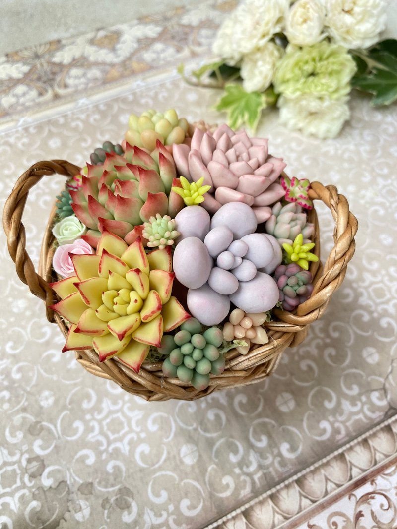 籃子裡的粘土多肉植物 B - 擺飾/家飾品 - 黏土 