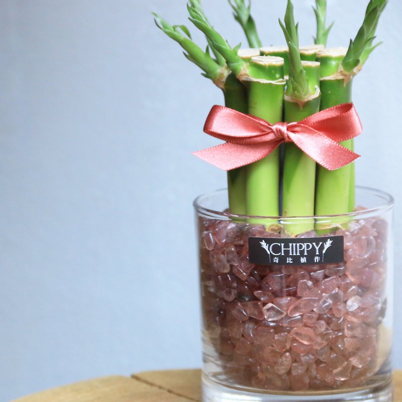 【Lucky Series】Lucky Bamboo on the Table—God of Love Assists Strawberry Crystal - Plants - Plants & Flowers 