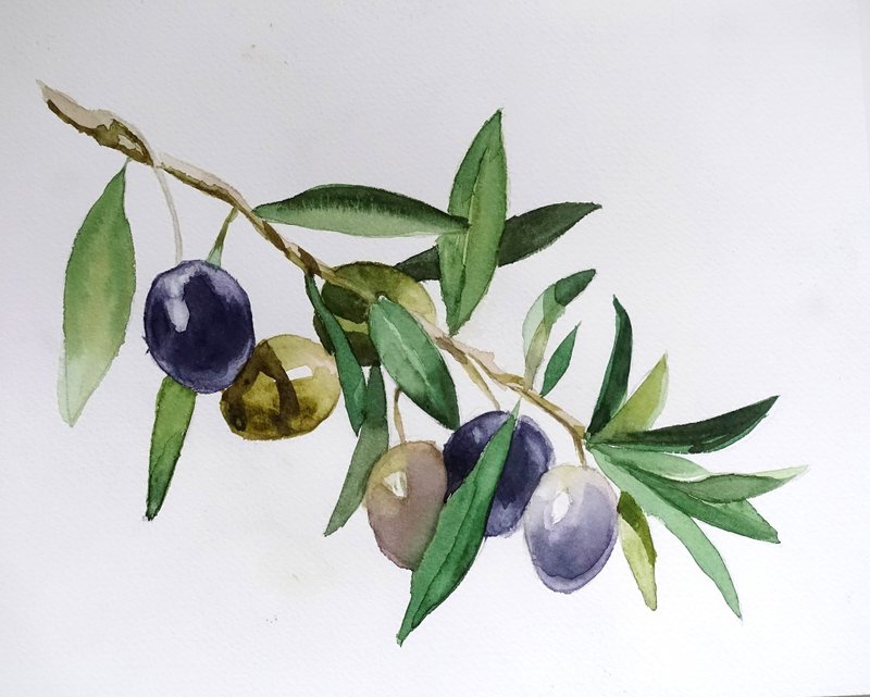 Olive Art Branch Watercolor Painting Eat Artwork Plant Wall Art - 海報/掛畫/掛布 - 紙 綠色