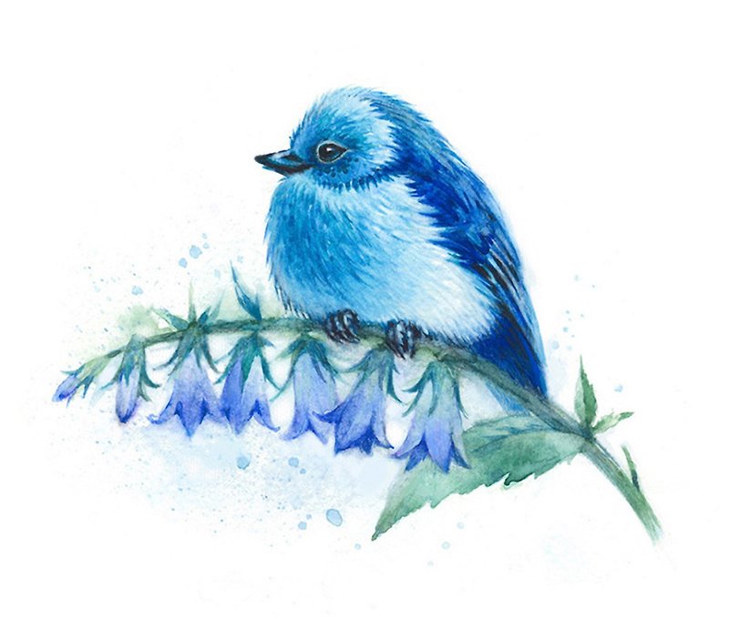 青い鳥の水彩画のプリント