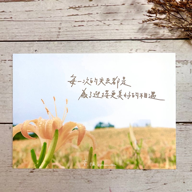 【Xuan. Handwritten] Beautiful Encounter / Restart Series Postcards - Cards & Postcards - Paper Orange
