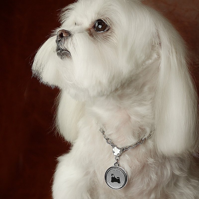 Cherish Stone 304 Stainless Steel Necklace - Simple Dog/Cat Brand ((Free Engraving Service)) - ปลอกคอ - โลหะ สีเงิน